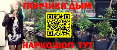 шишки Бузулук