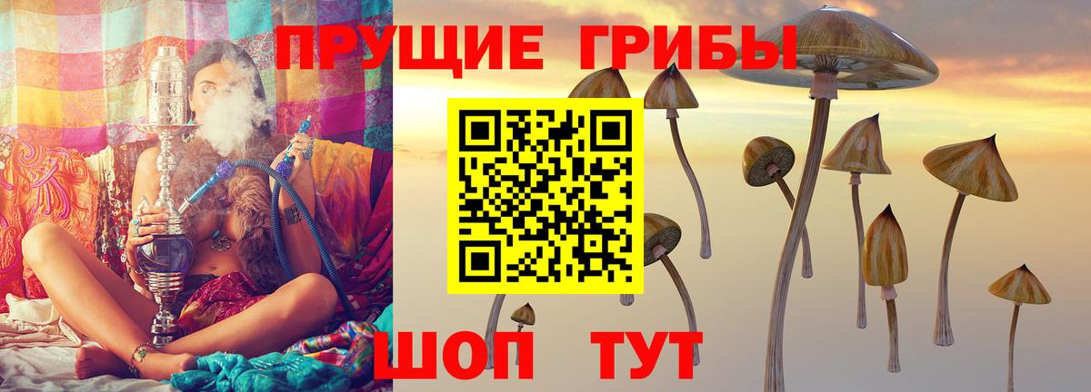 Псилоцибиновые грибы GOLDEN TEACHER  Псилоцибиновые грибы Magic Shrooms  Геленджик  Вход с VPN 