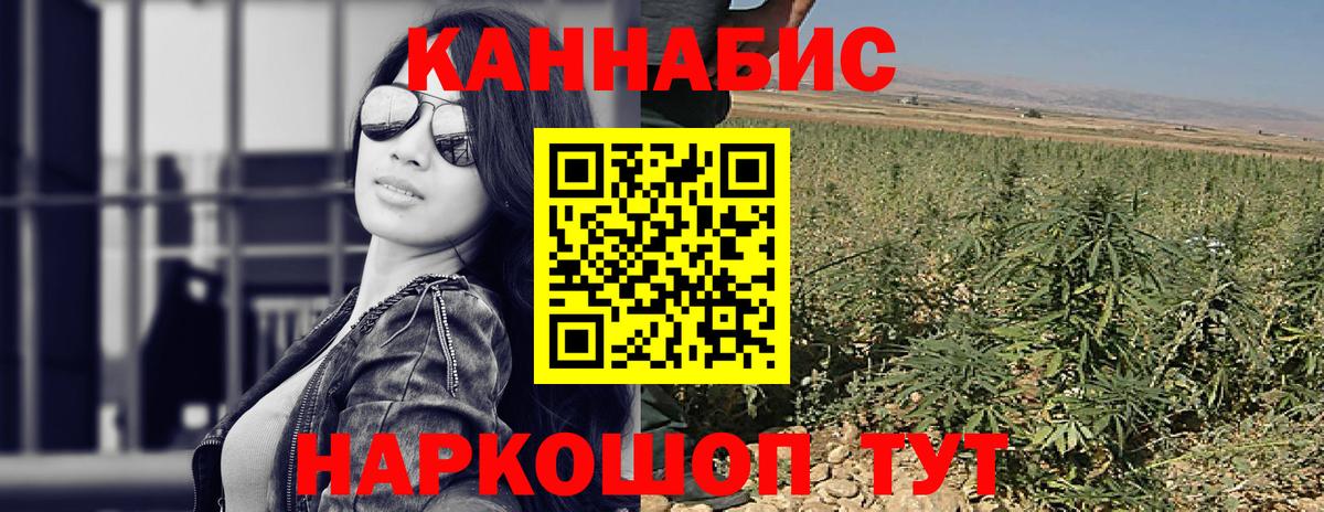 Канабис OG Kush Геленджик